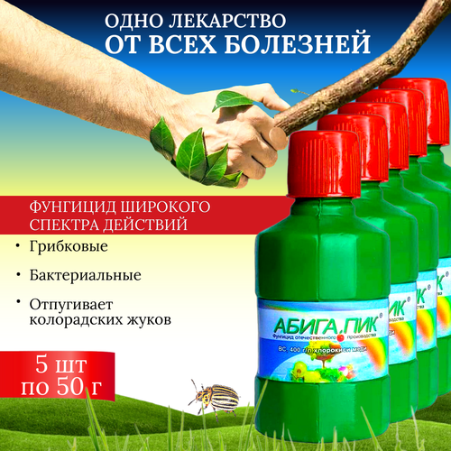 ���� �������� ����� ��� ��� ������ � ���������� ������� � ������������� ��������, 5 �� �� 50 � ������ ������