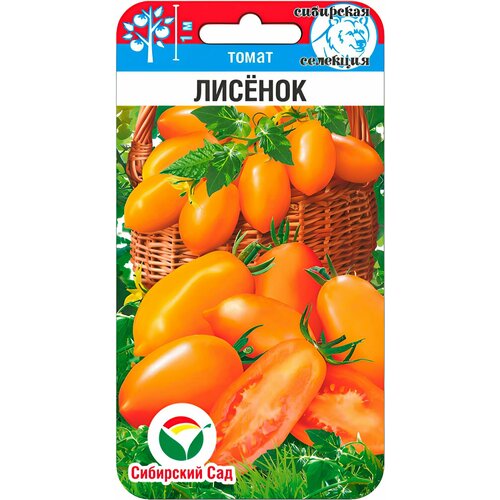 ���� ������ ������ ��������� ��� 