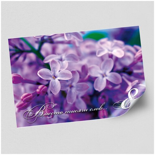 ���� ����������/������ �������������� �� 8 �����, ������ �-2 (60x42 ��.) ������ ������