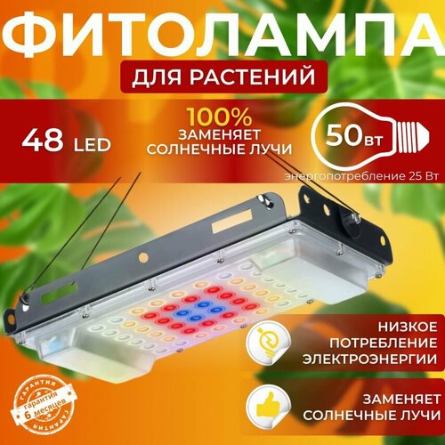 ���� ��������� ��� ����������� �������� ������� ������ ������ �������������� ������������, ����� ��������� ��� ������ � �������� ������ ������