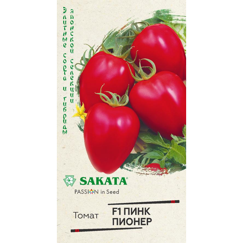 ���� ������ ����� ���� ������ F1 5�� ����� (������) ������ ������ ������