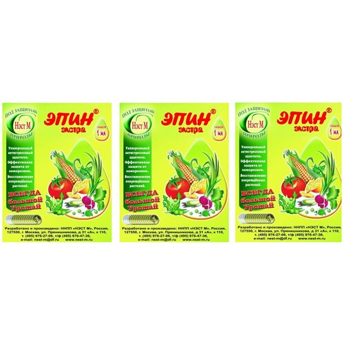 ���� ���������� ����� �������� ���� ������ 1 ��, 3 ��. ������ ������