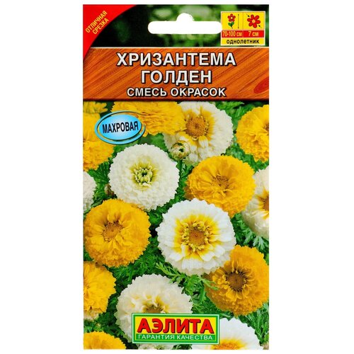 ���� ������ ������ ���������� 