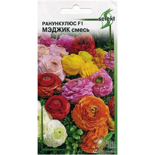 ���� ���������� F1 ������ c����, 3 ����� ������ ������