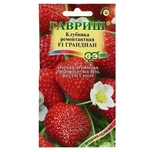 ���� ������ ��������� 