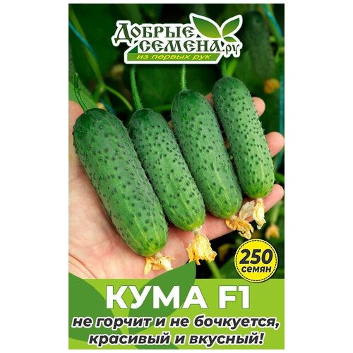 ���� ������ ������ ���� F1 - 250 �� - ������ ������. �� ������ ������