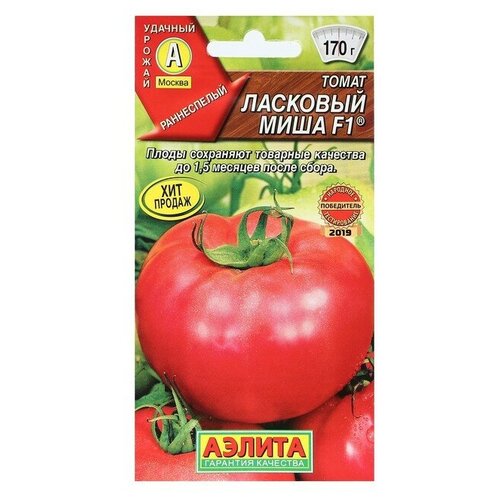 ���� ������ ����� 