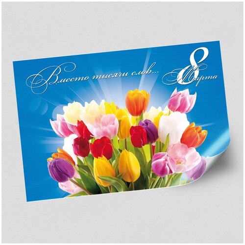 ���� ����������/������ �������������� �� 8 �����, ������ �-1 (84x60 ��.) ������ ������