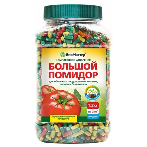 ���� ����������� ����������� ��������� 