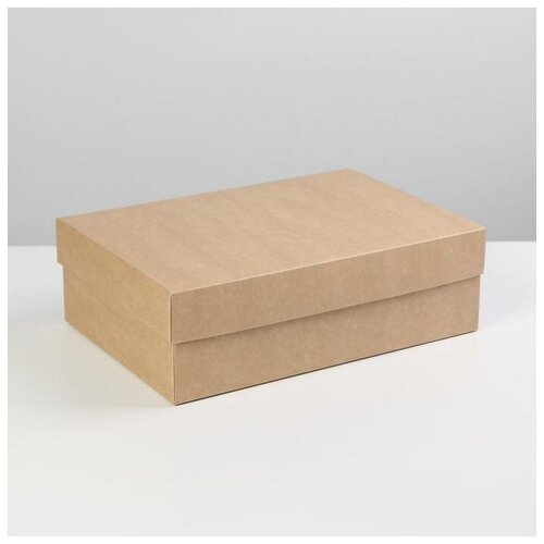 ���� ������� ���������� �������� ���������, ��������, 30 � 20 � 9 �� ������ ������