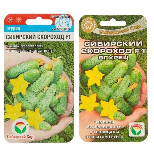 ���� ������ ������ 