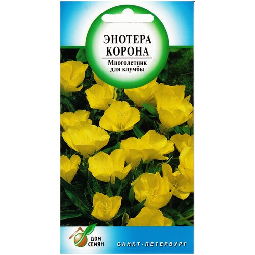 ���� ������� ����������� ������, 30 ����� ������ ������