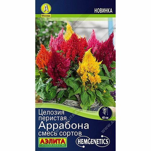 ���� ������ ������� ��������, ����� ������, ����������, (������) 7�� Hem Genetics ������ ������