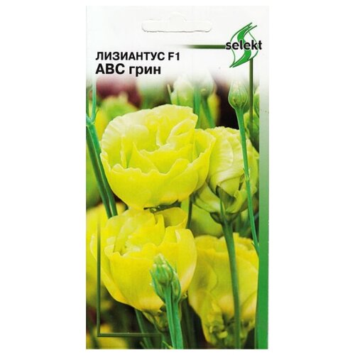 ���� ������ ��� ����� ��������� F1 (�������) ��� ����, 5 �� ������ ������