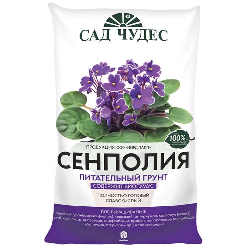 ���� ����������� ����� ��������. ��� �����. 5 � ������ ������