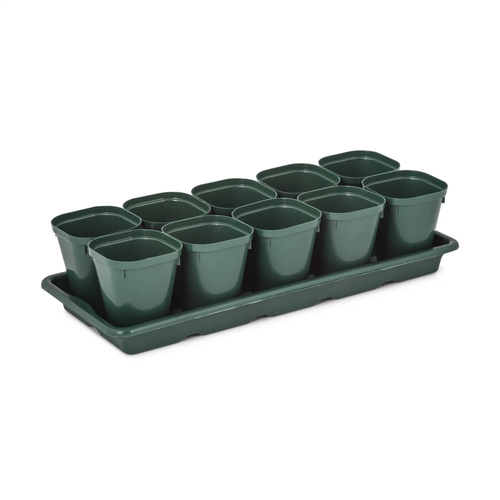 ���� ����� ��� ������� (10 �������� 0,3�) � �������� �8236 ������������ ������ ������