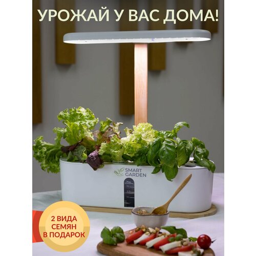 ���� ����� ��� � ���������� ��� �������� � �������� ������, ���������� ������� �����, �������� ����� ���, �����������, ����� ������ ������