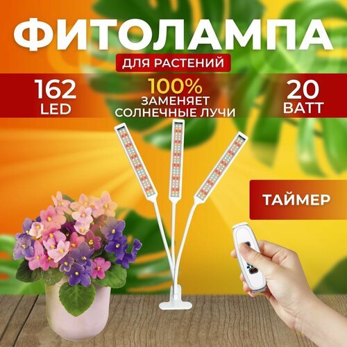 ���� ��������� ��� ����������� �������� ������� ������ ������ �������������� ������������ ��� ������ �� ������ ������� � ��������� � ��������, 3 ����� ������ ������