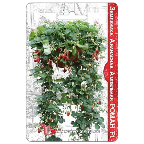 ���� ���������� ��������� ��������� ��������� ����� F1 ������ ������