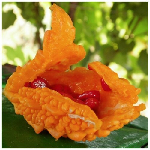 ���� ������ ������ ��������� �������� 5 ��. ������ ������