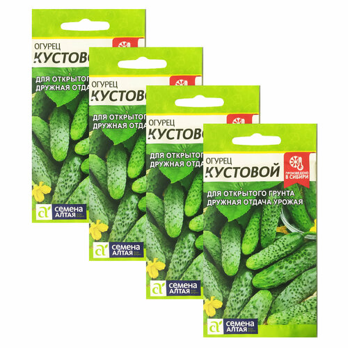 ���� ������ ������ �������� 0,5 � (������ �����) , 4 �������� * 0,5 � ������ ������