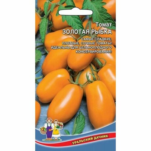 ���� ������ ����� ������� �����, ������������, ������������, 20�� ������ ������