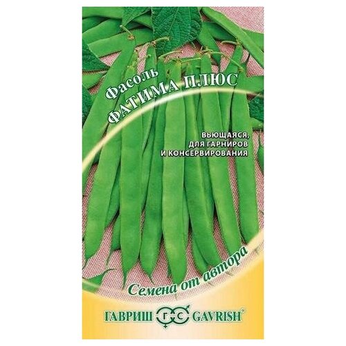 ���� ������. ������ 