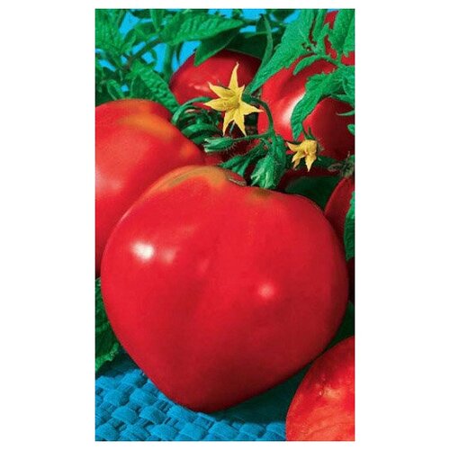 ���� ����� ����� ������ ������������ ~ 20 ����� ������ ������