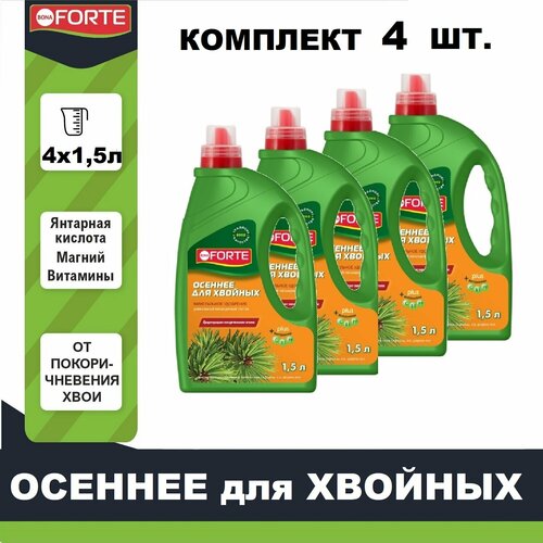 ���� ����������� ��������� ��� ������� �������� Bona Forte ������� �������� 1,5� � 4�� ������ ������