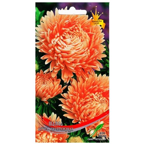 ���� ����� ����������� �����, 90 ����� ������ ������