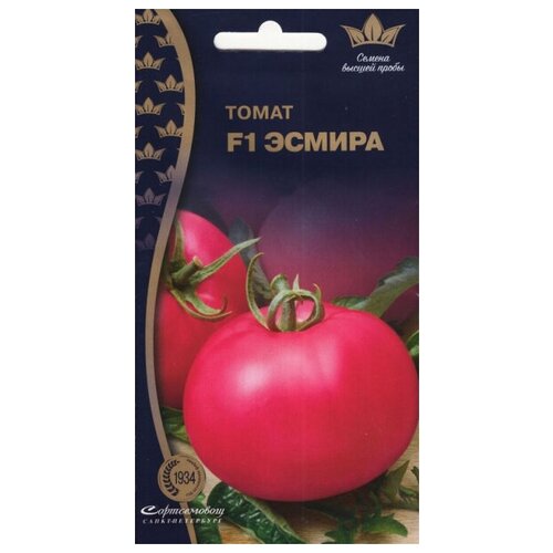 ���� ����� ������ F1, 5 ����� ������ ������