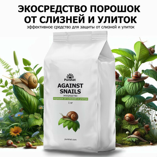 ���� ����������� ������� �� ������� � ������ Purshat 1 �� ������ ������