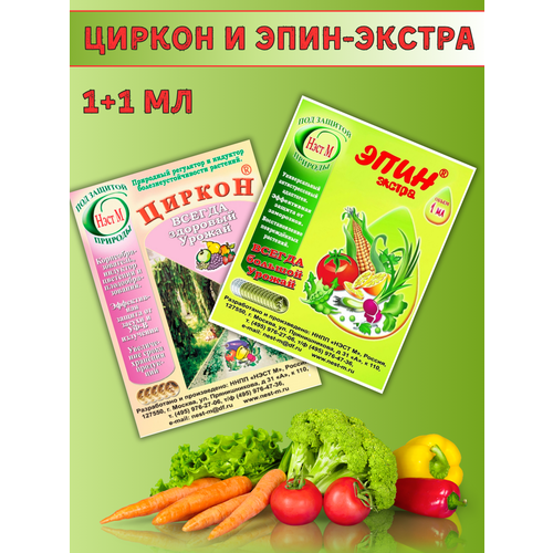 ���� ����-������ 1 �� + ������ � ������������� 1 ��, �������� ������ ������