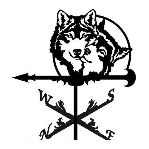 ���� ������ ������� 