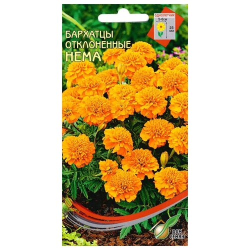 ���� �������� (������� �����������) ����, 60 ����� ������ ������