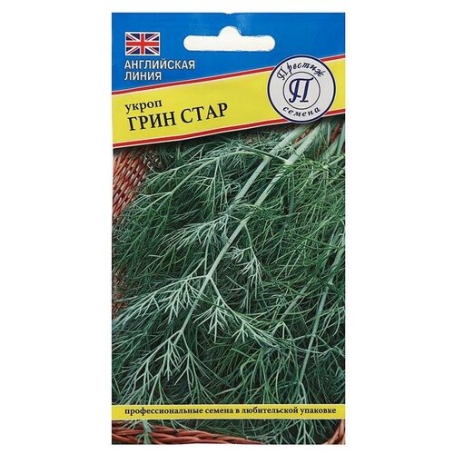 ���� ������� ������ ������ ����� 