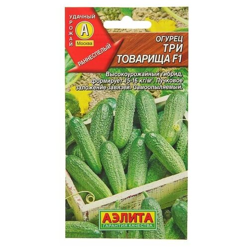 ���� ������ ������ 