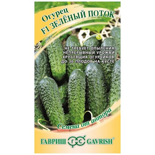 ���� ������ ������ ������ �� ������ ������ ������� ����� F1 10 ��., 10 ��. ������ ������