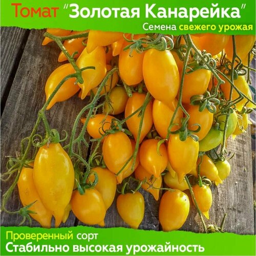 ���� ��������� ������ ����� 