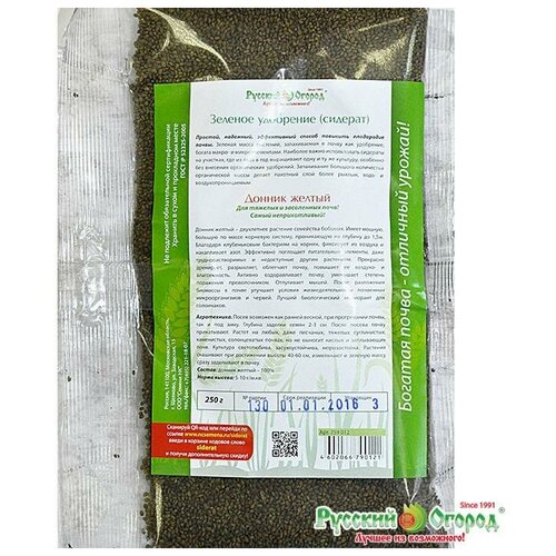 ���� ������. ������� 