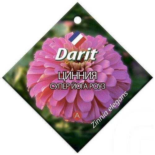   Darit 