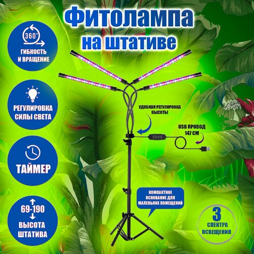 ���� ��������� ��� �������� � ������� �� ������� ������� ������� 4 �����/ ��� ��������� ������� � ��������� ������ ������