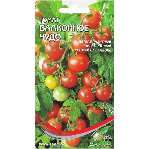 ���� ����� ��������� ����, 30 ����� ������ ������