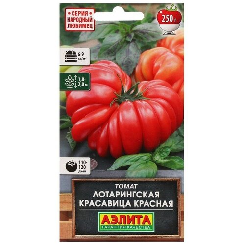 ���� ������ ����� 