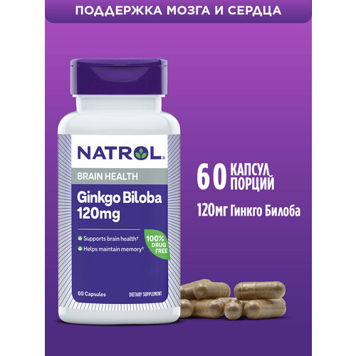 ���� Ginkgo Biloba ����., 120 ��, 70 �, 60 ��., 1 ��. ������ ������