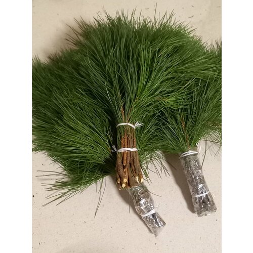 ���� ������ ��� ���� �������� 3 �� ������ ������