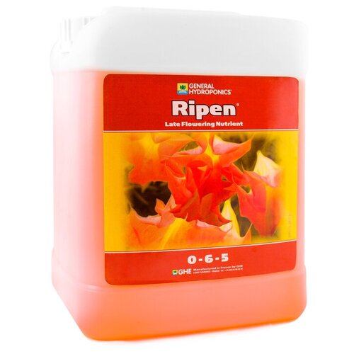 ���� FinalPart T. A. (Ripen) 5� ������ ������