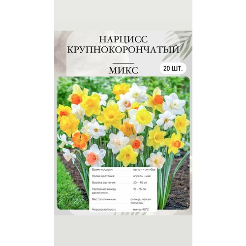 ���� ������� ���������� ����� 20 �� ������ ������