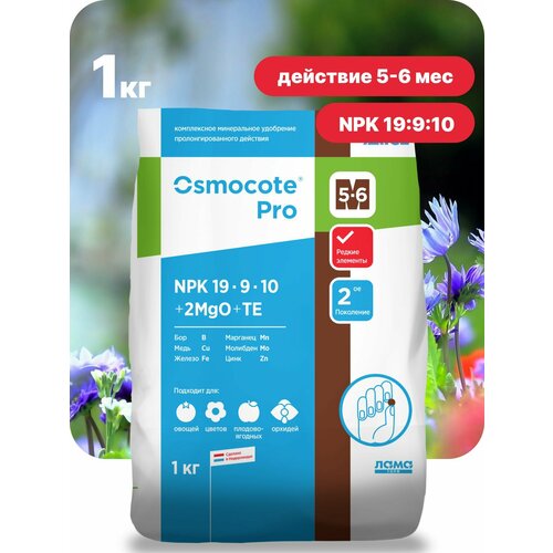      , Osmocote Pro 5-6 , 1    -     , -, 