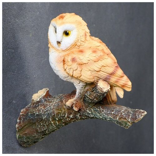 ���� ��������� ����� 